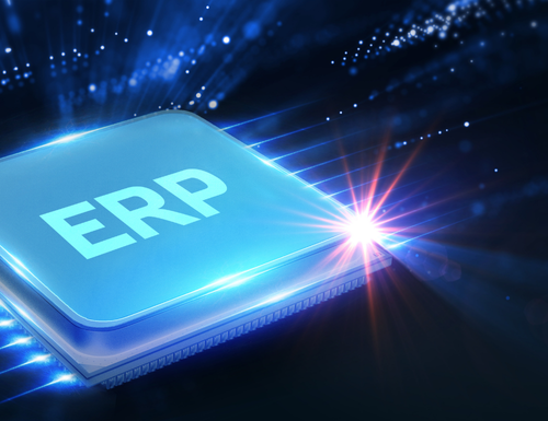 ERP Kurulum ve Entegrasyon